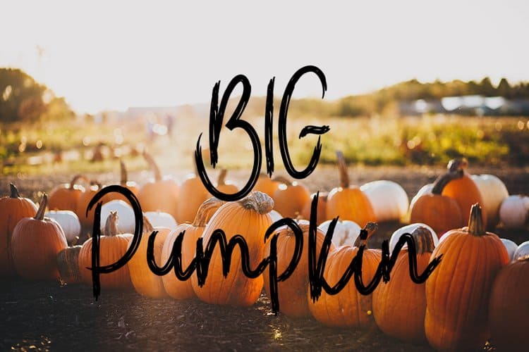 110+ Best Halloween Fonts 2021 | Halloween Fonts For All Business Ideas