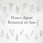 Botanical Clipart Flower Digital Papers PNG
