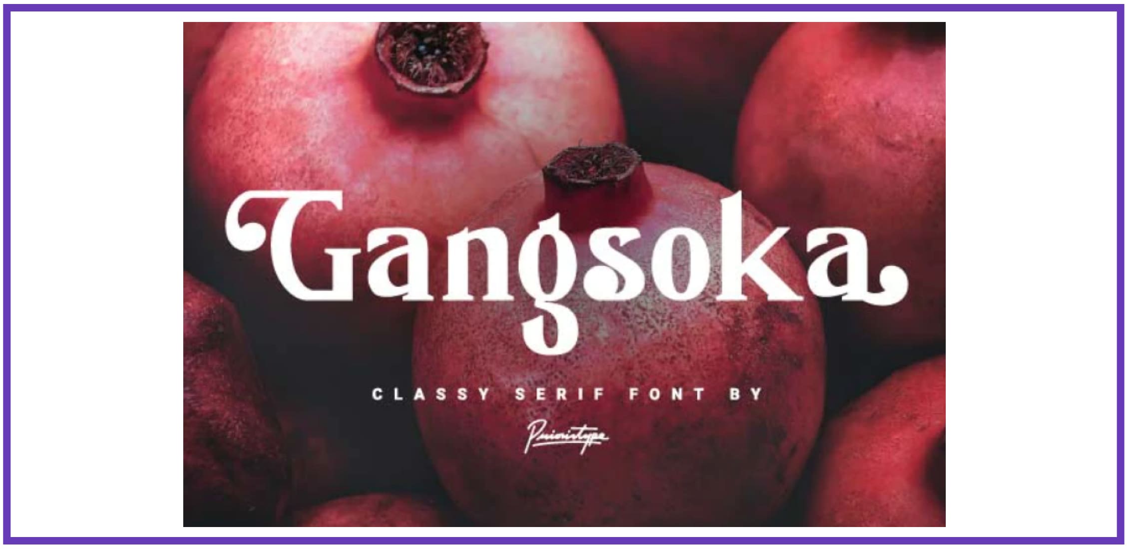 Gangsoka - Classy serif font. Best Industrial Fonts.