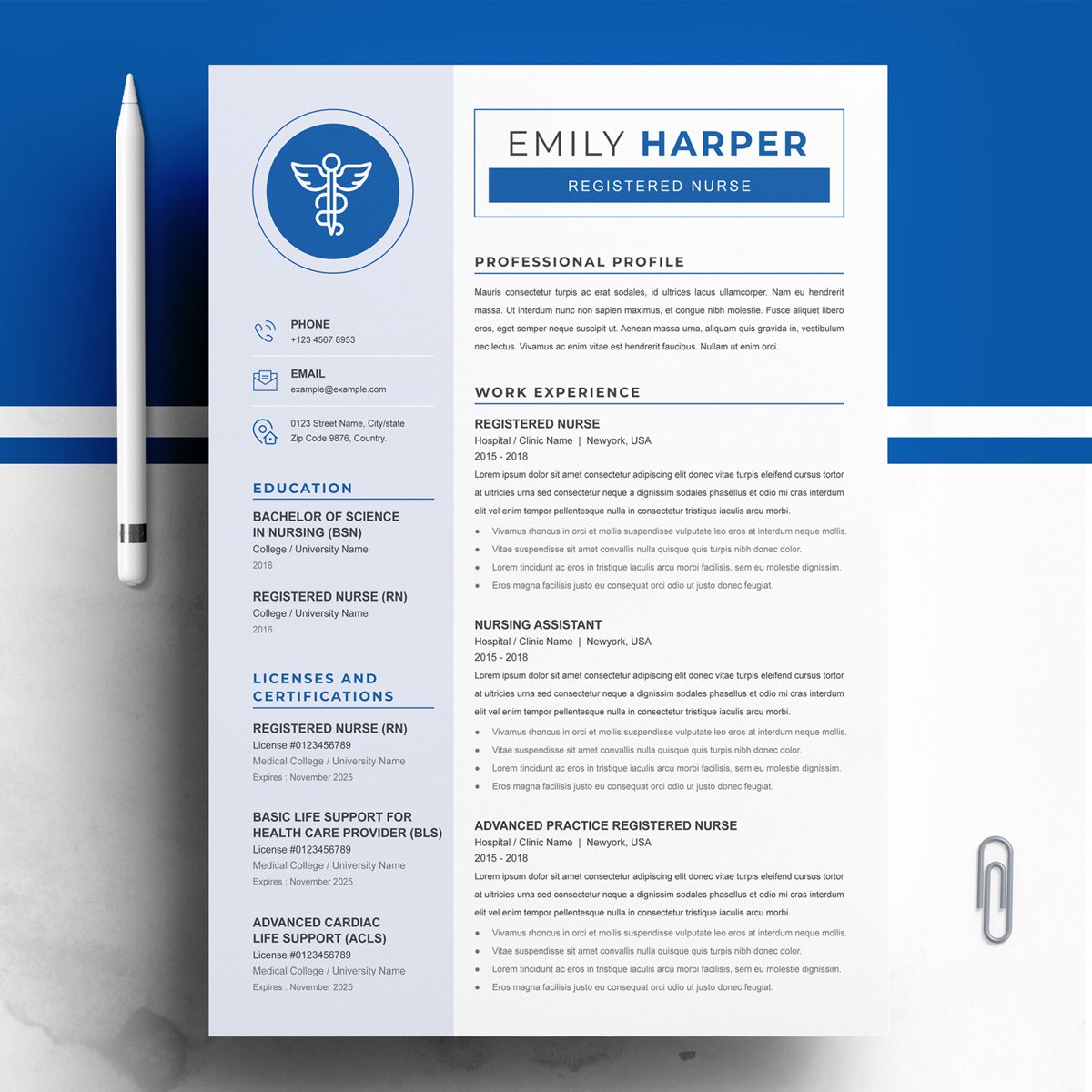 A general view of the template. New Nurse Resume CV Template.