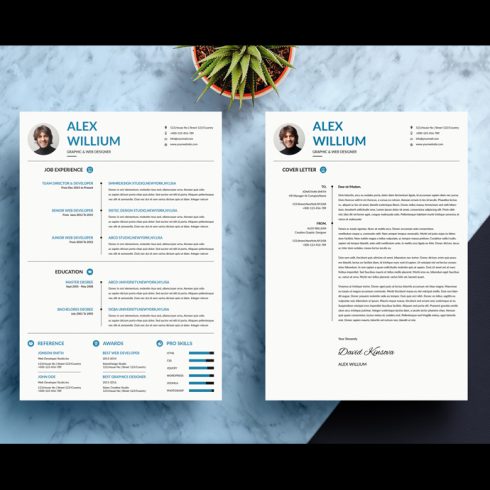 10 Minimalist Resume Template Bundle – MasterBundles