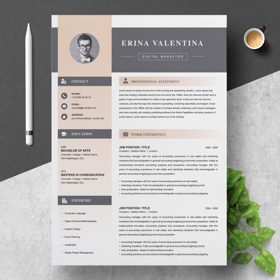 A general view of the template. One Page Resume Template.