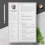 CV Template Curriculum Vitae