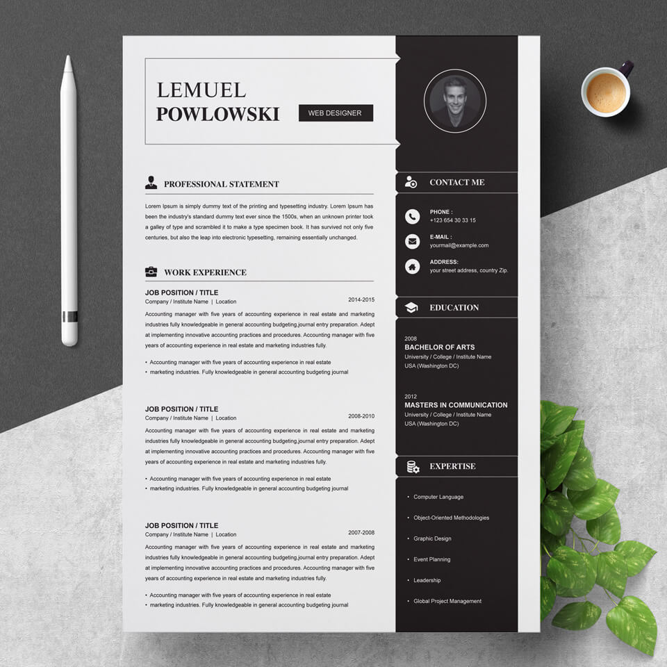 A general view of the template. Professional Resume Template.