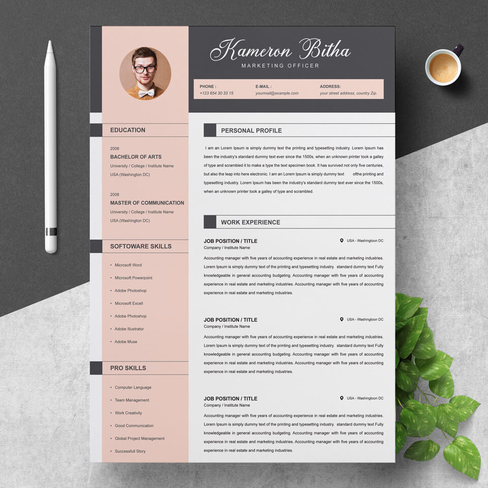 A general view of the template. Resume Word Design.