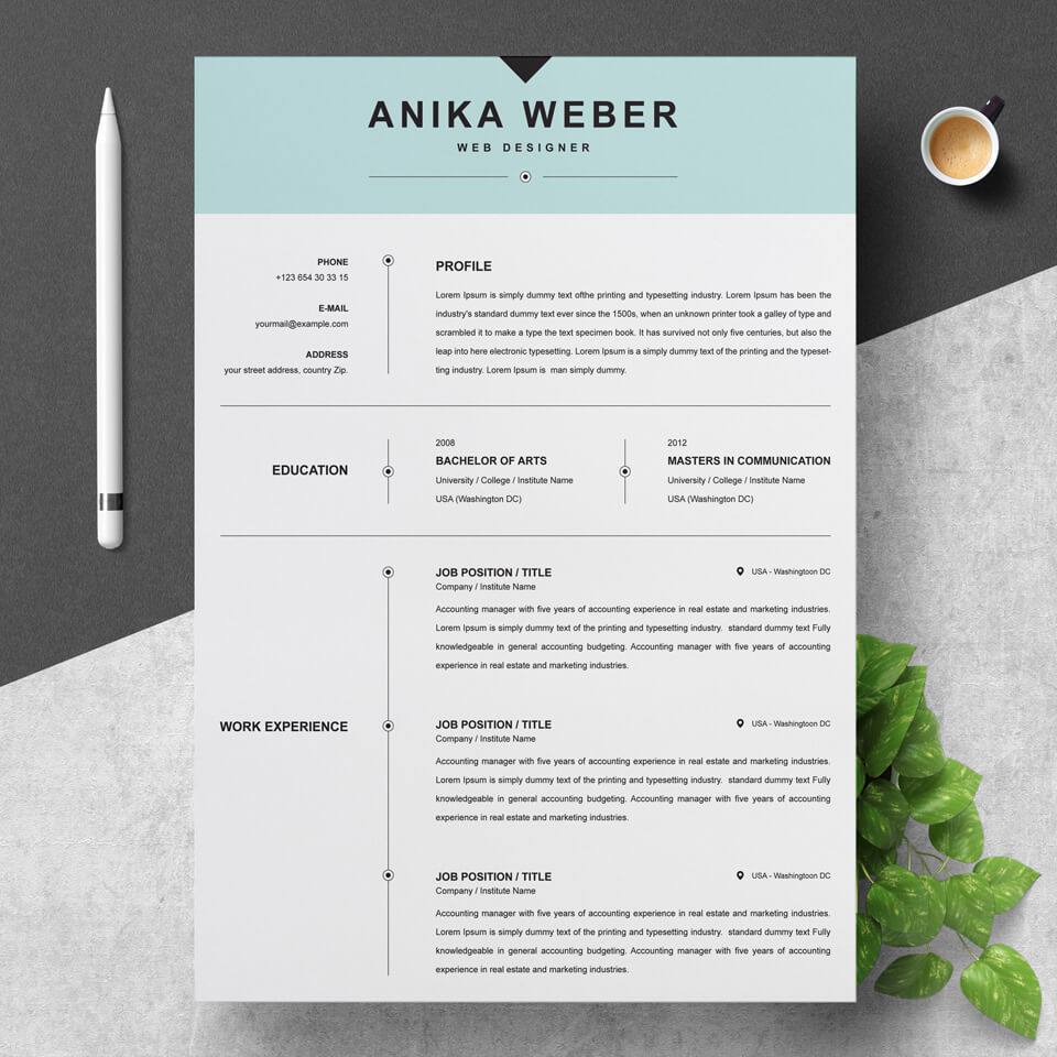A general view of the template. Functional Resume Template.