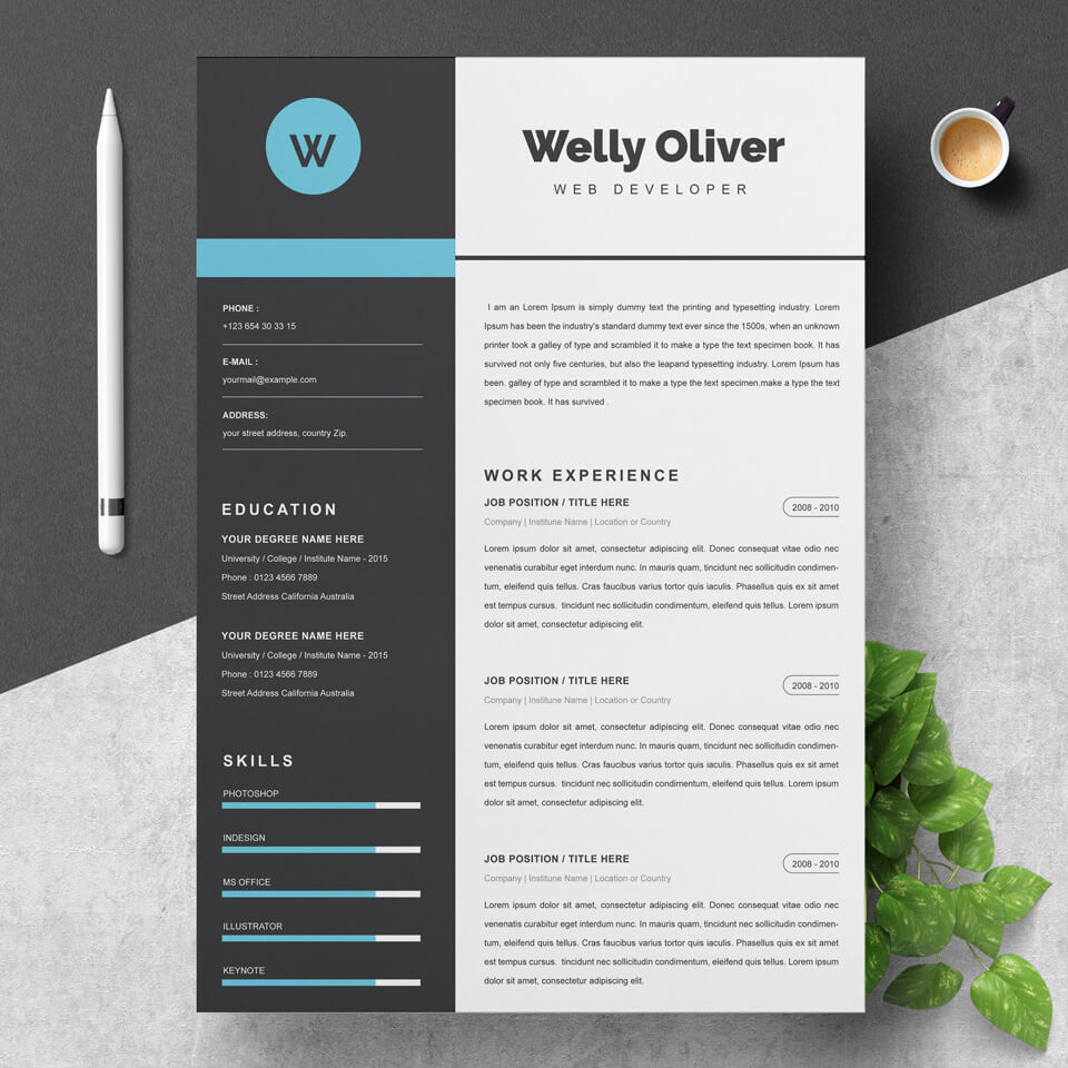 A general view of the template. Resume Template .