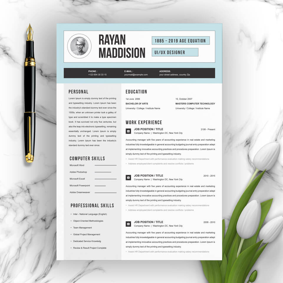 A general view of the template. CV Template.