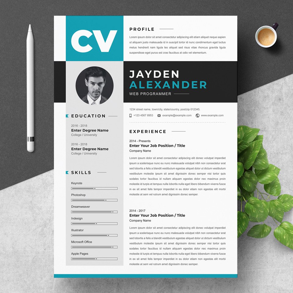 A general view of the template. Web Programmer Resume.