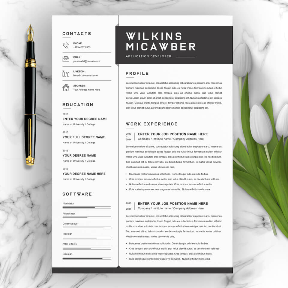 A general view of the template. Simple Resume.