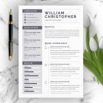 Computer Programmer Resume Template – MasterBundles