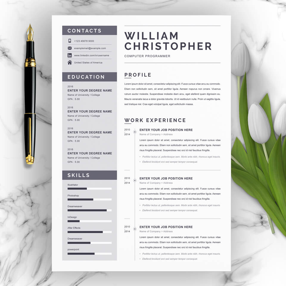 A general view of the template. Computer Programmer Resume.
