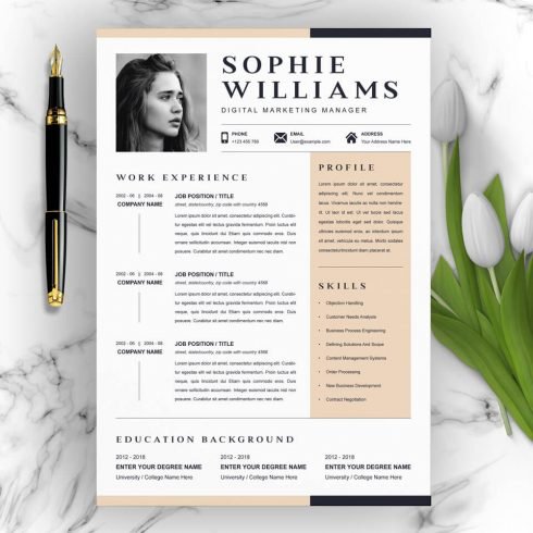 Digital Marketing Manager Resume Template