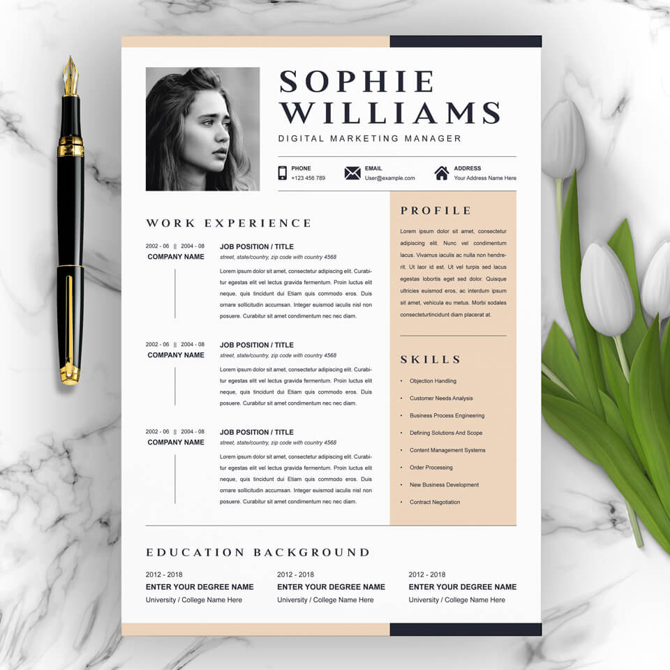 A general view of the template. Digital Marketing Manager Resume.