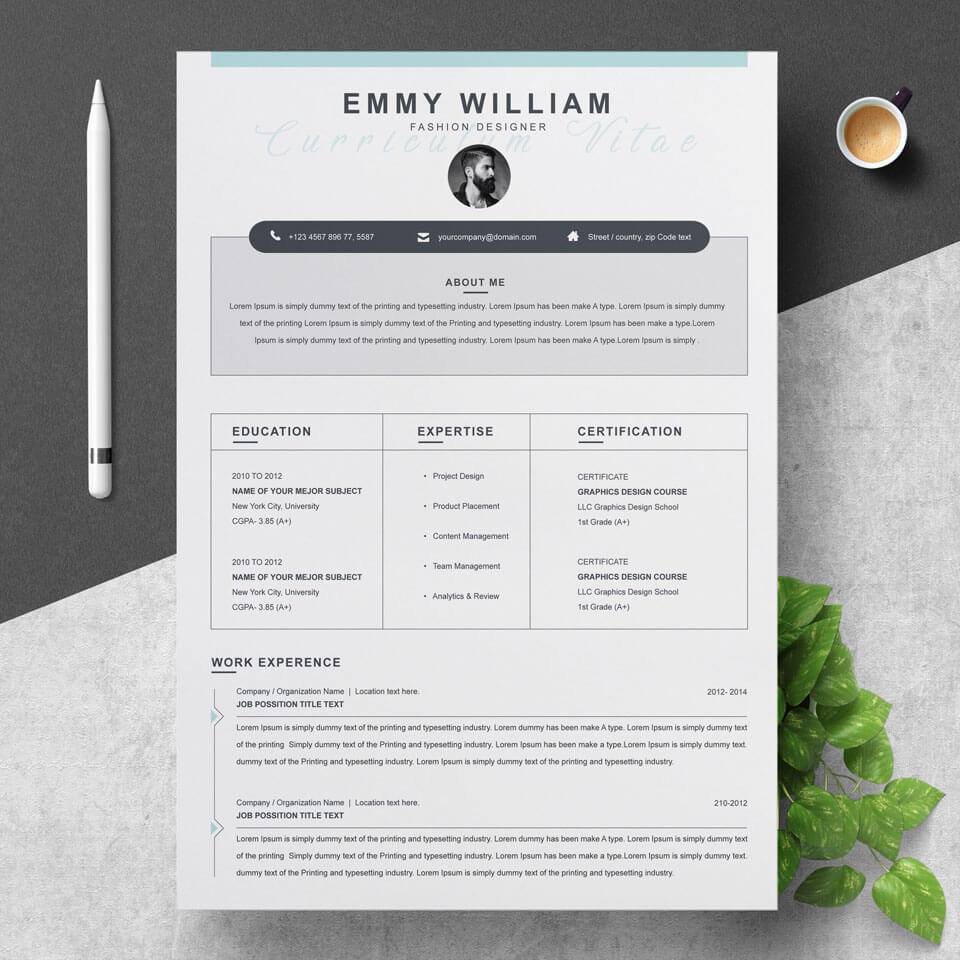 A general view of the template. Resume Template.