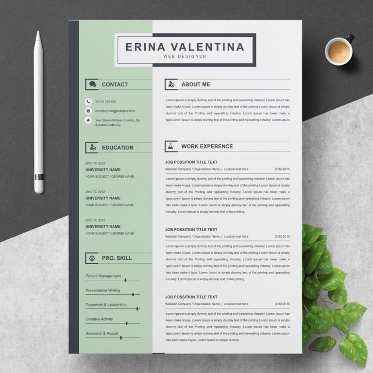 Simple Resume Template - MasterBundles