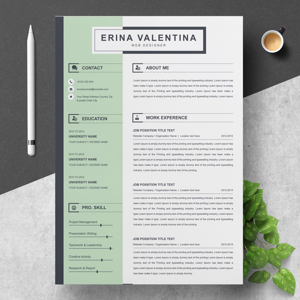 A general view of the template. Simple Resume Template.