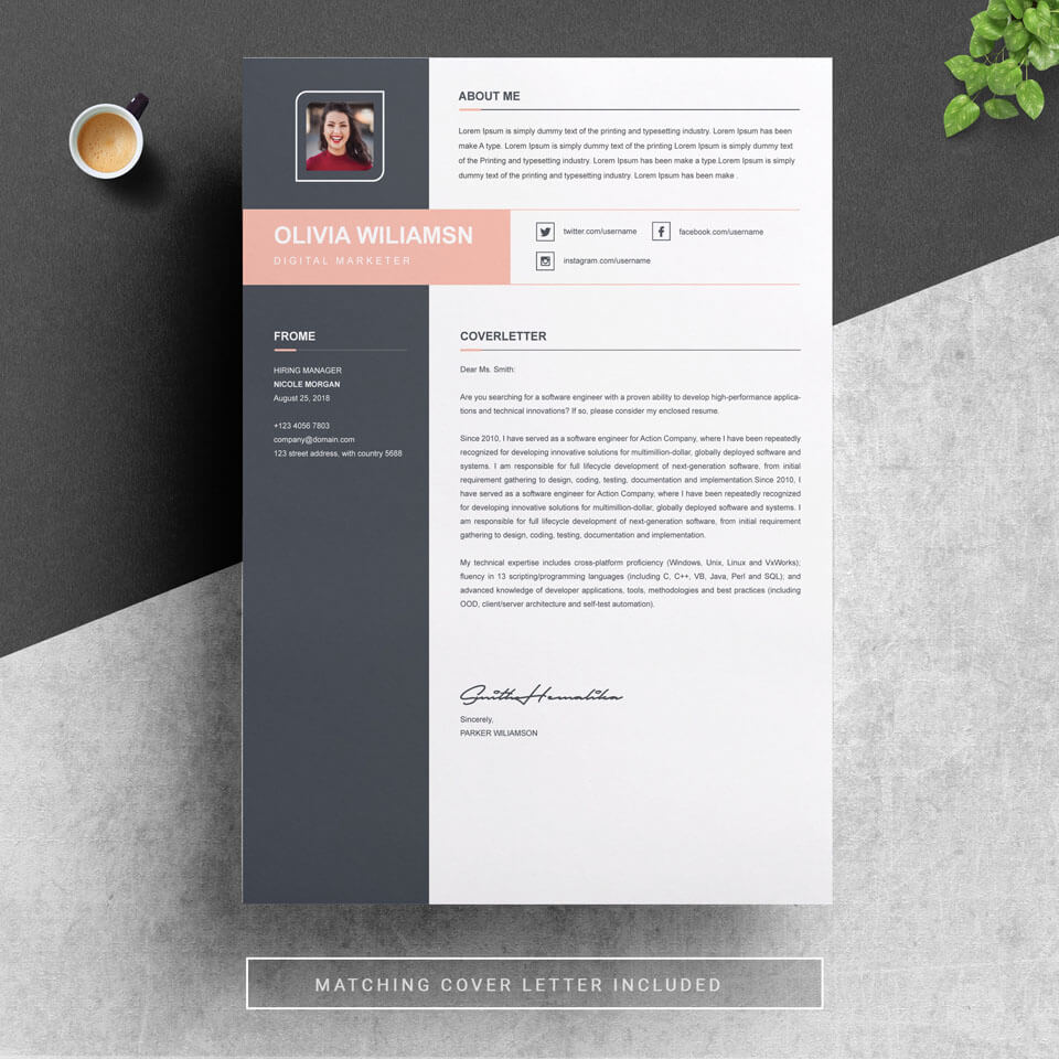 A general view of the template. Resume Word.