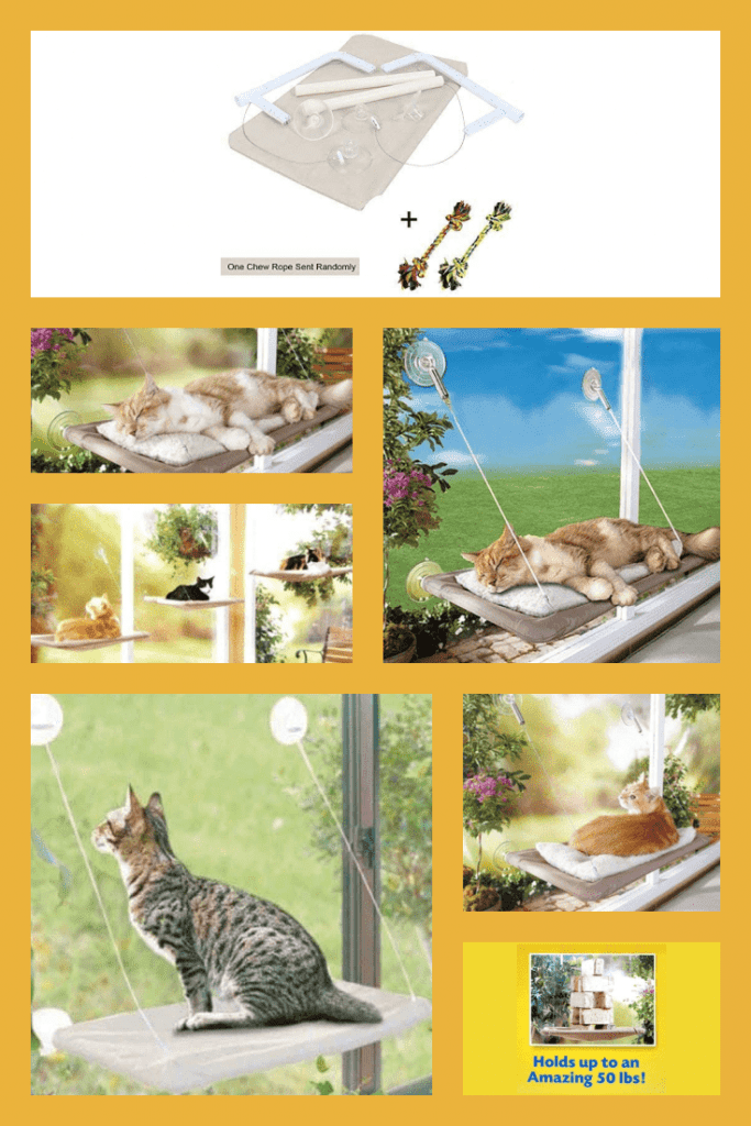 Best 77+ Gifts for Cat Lovers & Cat Moms in 2021. Things That Make Cats