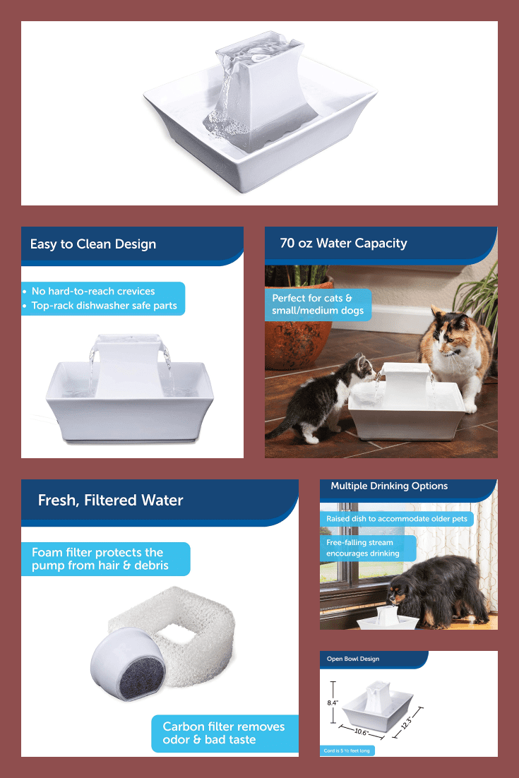 A useful gift. This is a functional white drinking fountain that will supply water to your pet independently.