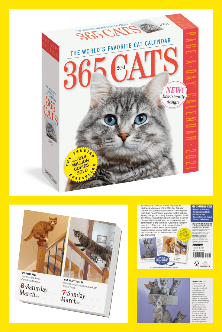 TA calendar is a classic and versatile gift. Lovers of cats will be able to admire different pictures with their pets every day.