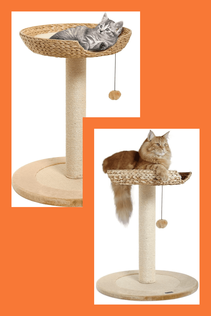 This is a super appropriate and comfortable gift for cats. Lounger, toy and scratching post in one. This is a good opportunity to save space in the apartment.