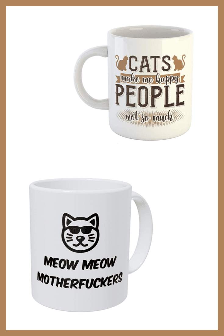 A funny and necessary gift for any person. Let a symbolic cup with a humorous inscription appear in the collection of cat lovers.