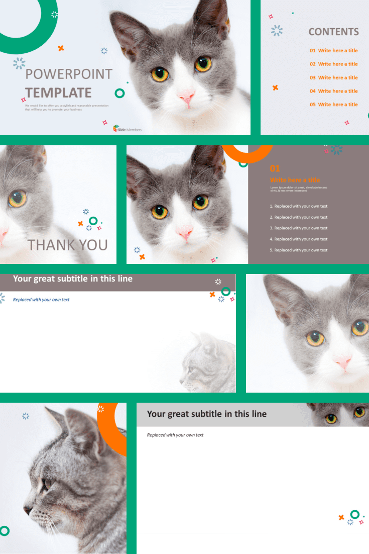 Cute design for real lover kittens.