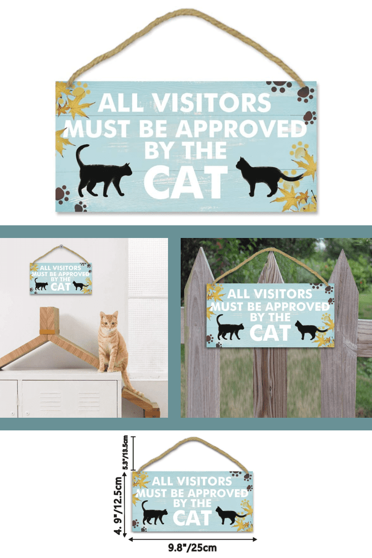Cats are finicky animals and need to make an effort to enjoy them. Such a sign is a good alternative to 