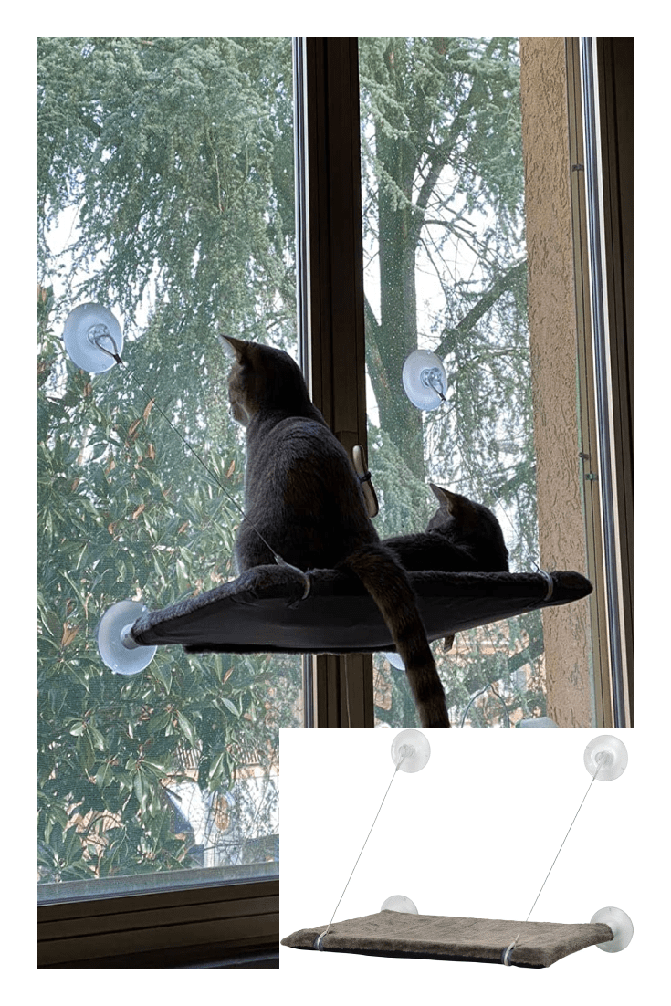 A soft gray seat, which is attached to the window with suction cups, so that your pet can watch what is happening on the street.