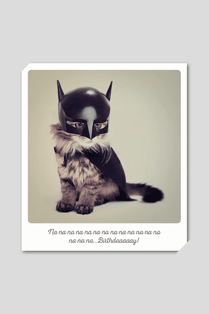 The postcard is always cute and individual. Cat lovers will be pleased to receive a postcard with a picture of a kitten in a Batman costume.