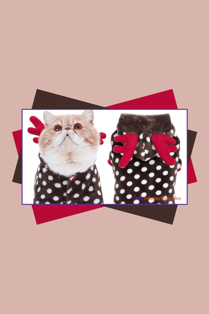 Cute Santa costume with polka dots with wings for your pet. You can even arrange a thematic photo session with him.