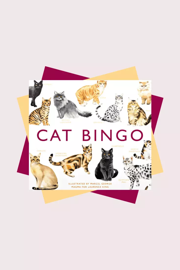 This is an entertaining and educational game that will tell you about cat breeds all over the world.