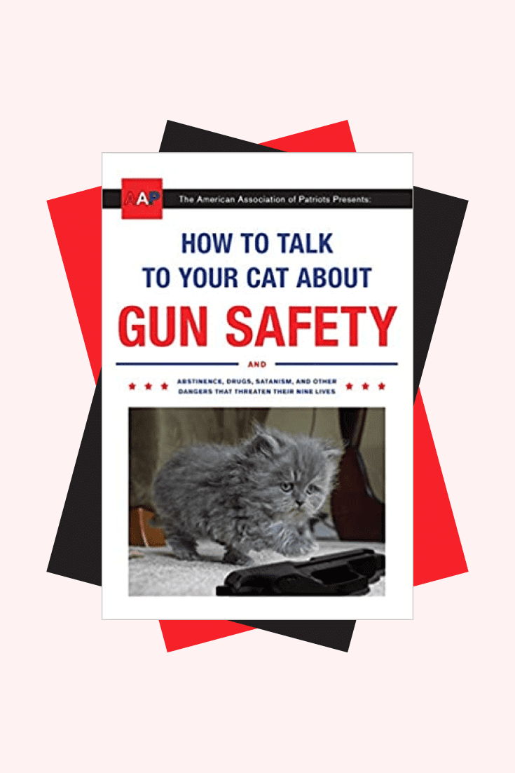 How to Talk to Your Cat About Gun Safety