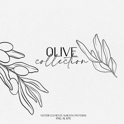 Olive Branch Outline Collection Example.