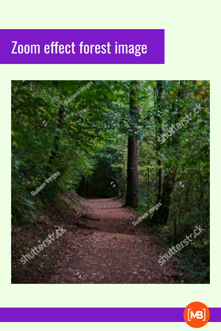 Make your online conference experience as cozy and fresh as possible. This background is made like a forest tunnel.