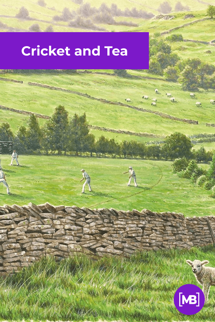 Green open fields where cricket is played.