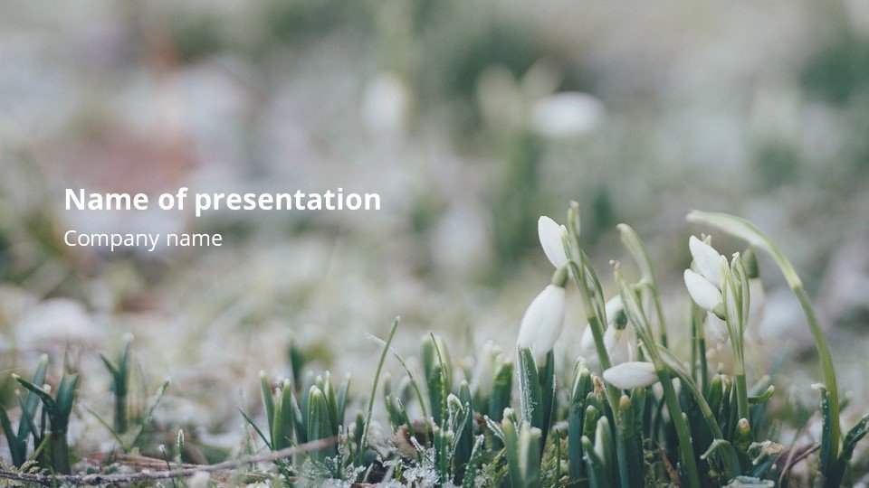 This is such a beautiful template.Revival - Free Powerpoint Background Worship Easter.