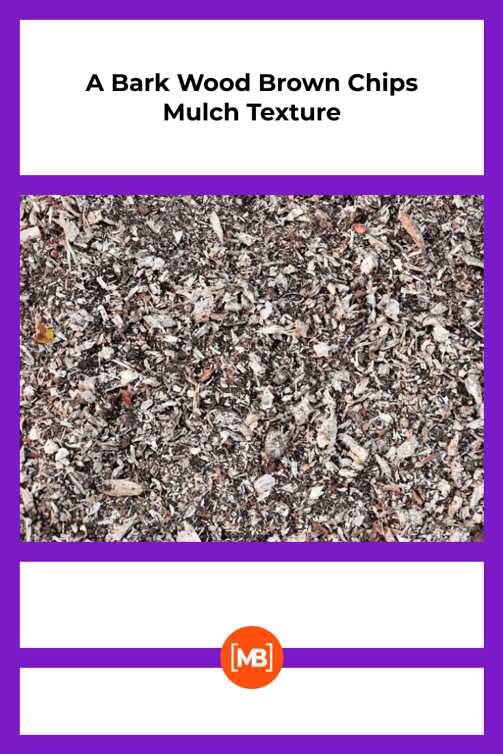 A nicebark wood brown chips mulch texture background.