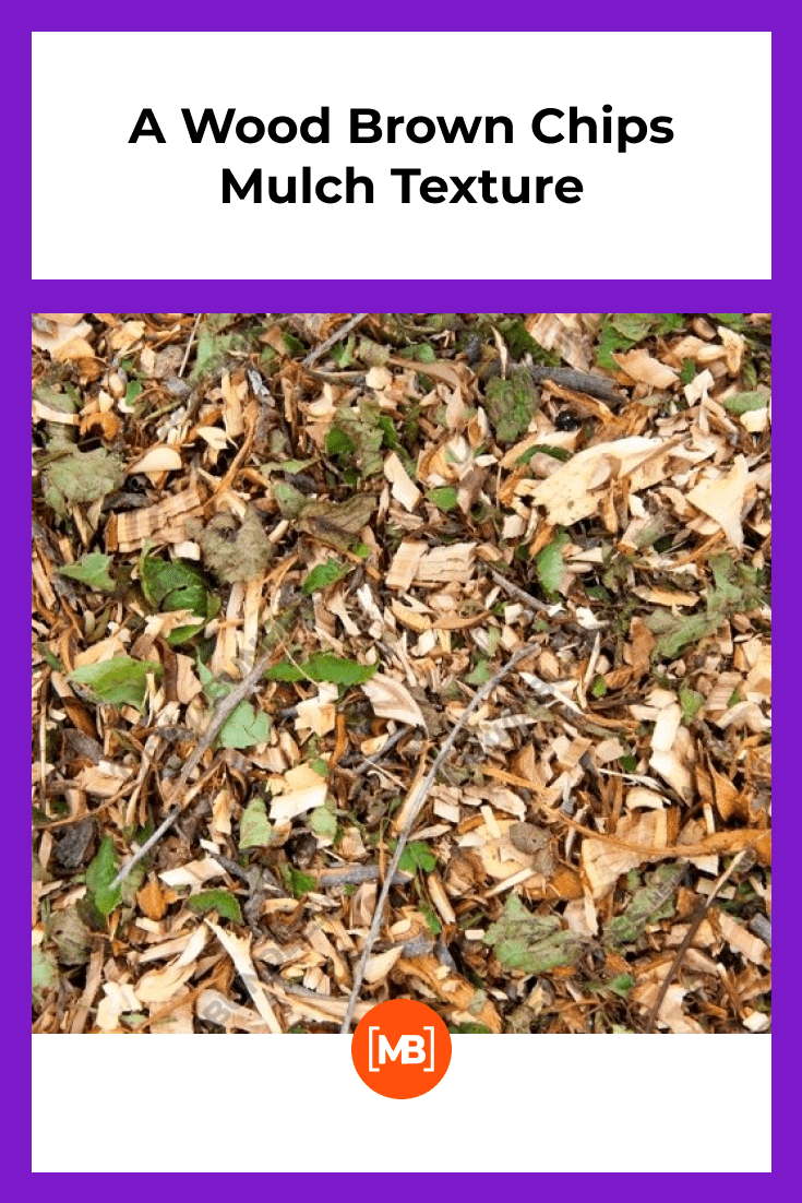 Mulch from the autumn forest.