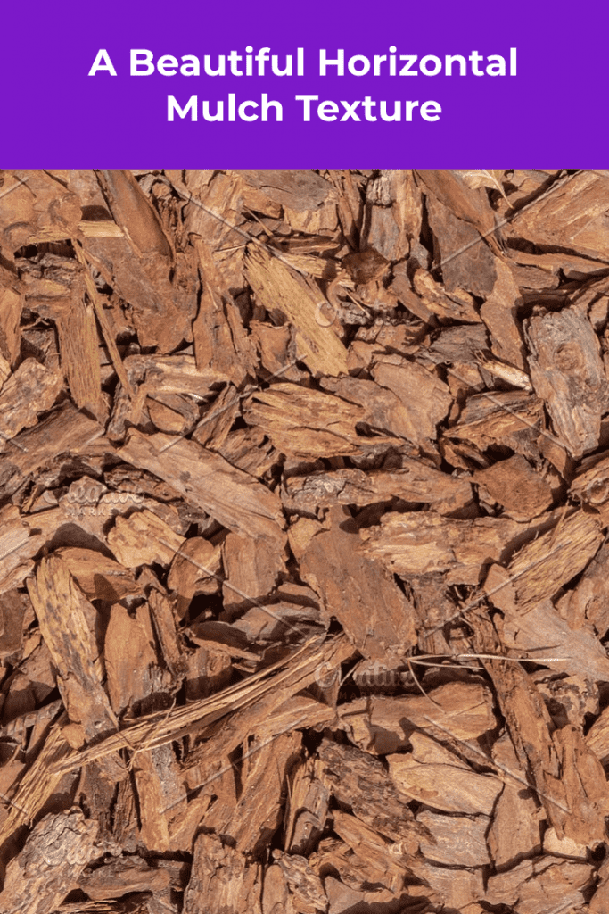 15+ Best Mulch Textures in 2021: Free and Premium Textures