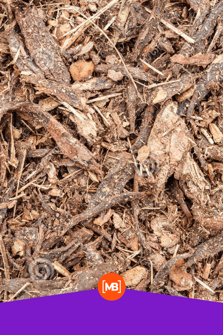 Mixed mulch from sawdust and pieces of logs.