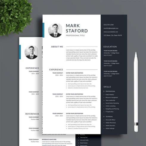 Professional resume template with a blue accent.