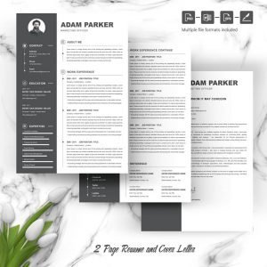 Marketing Officer Resume Template - MasterBundles