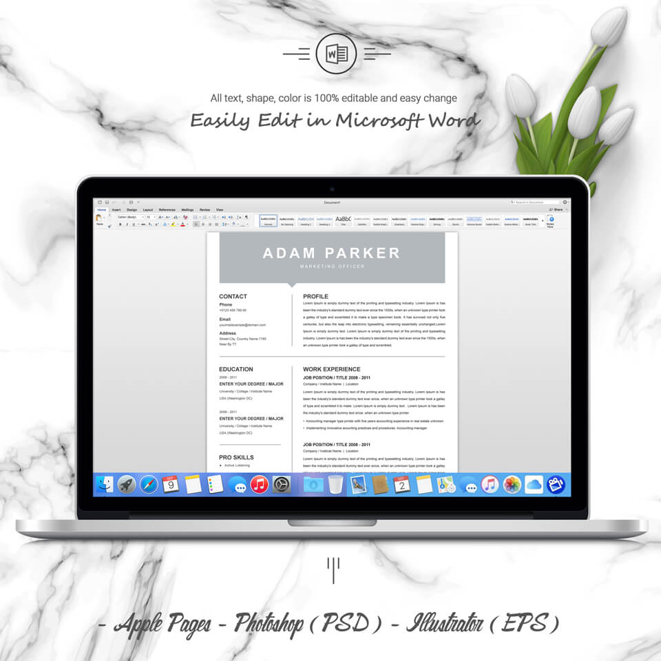 Laptop option of the Marketing Officer Resume Template.