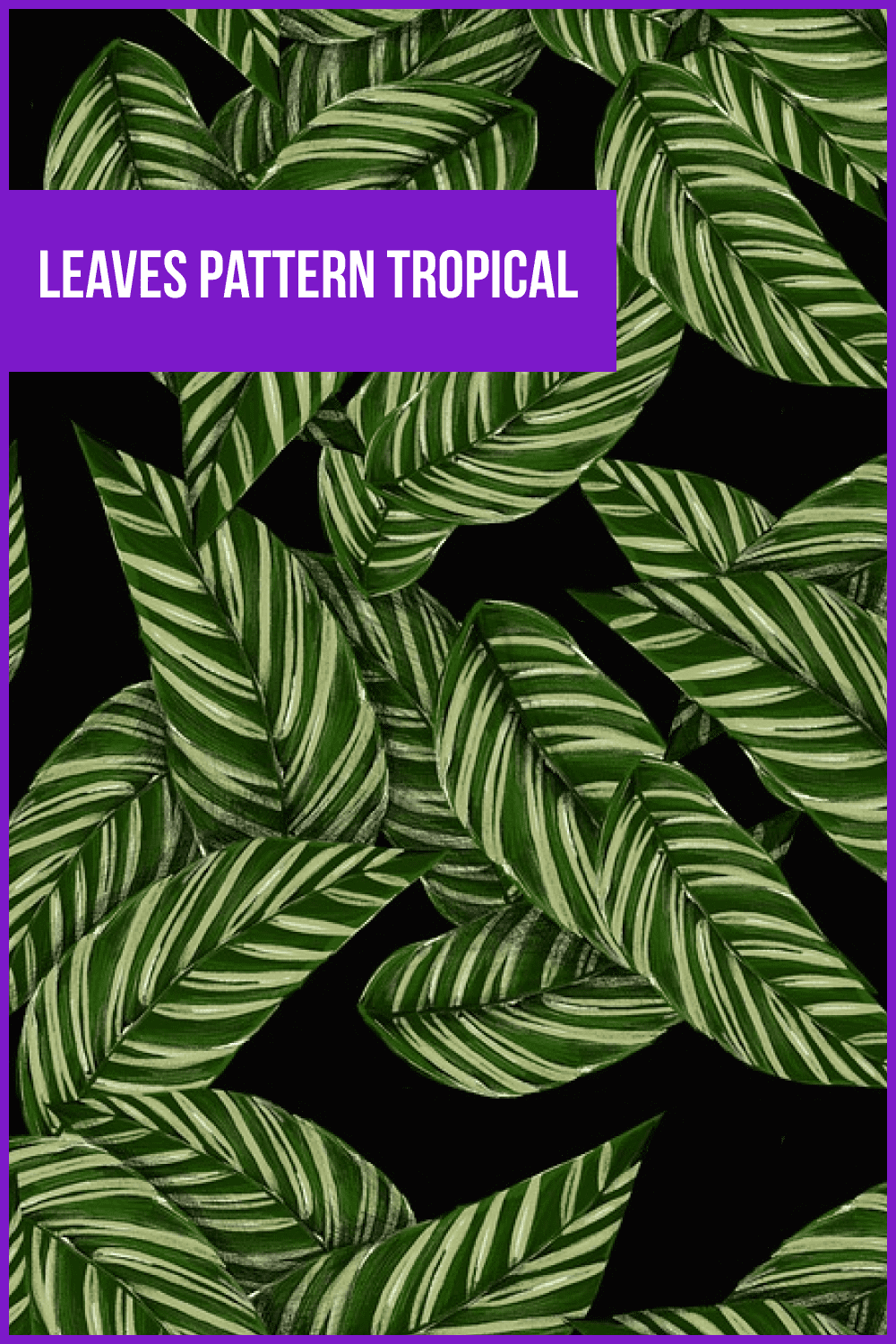 Big tropical leaves.