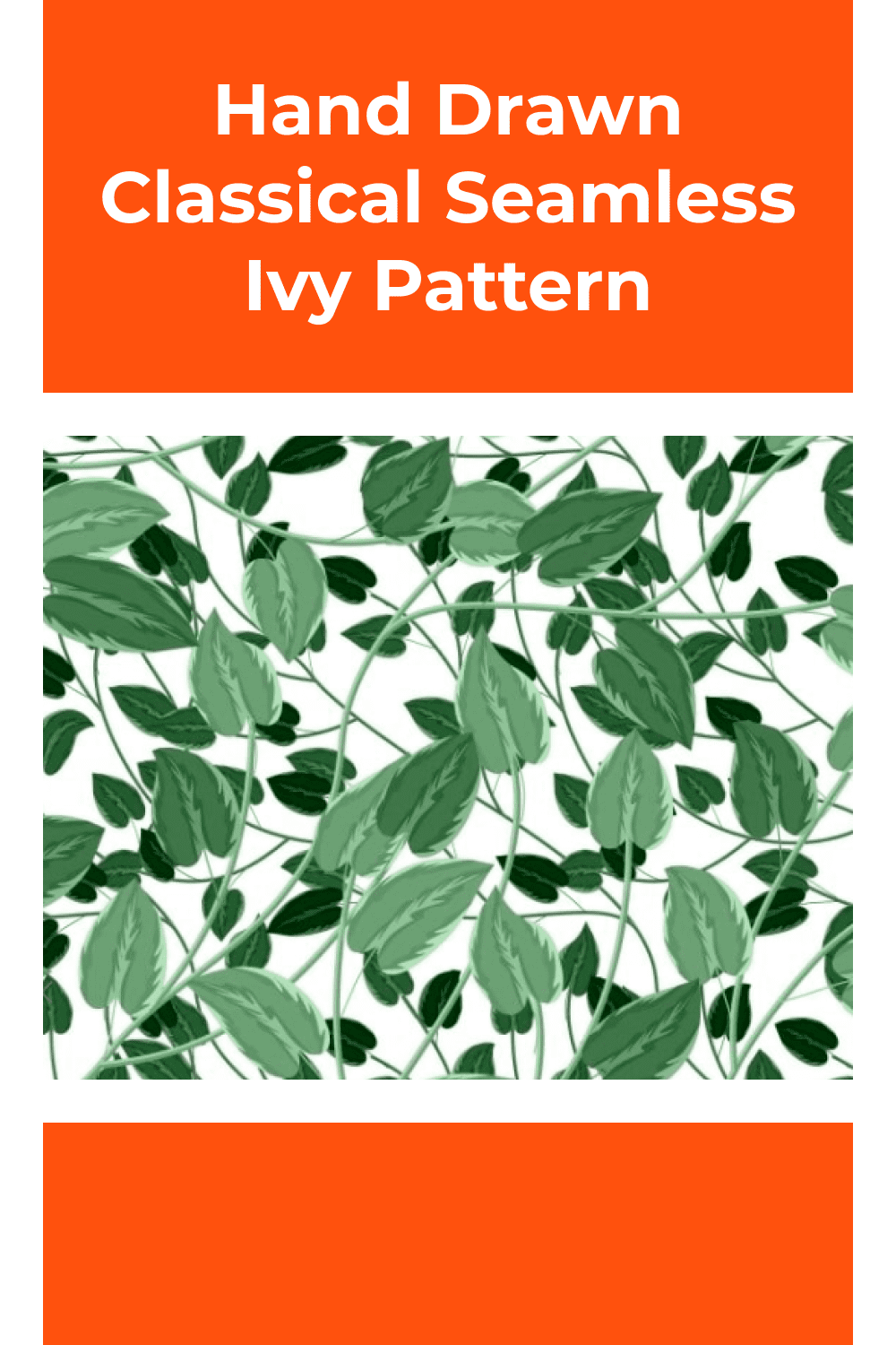 Hand drawn classical ivy leaves.