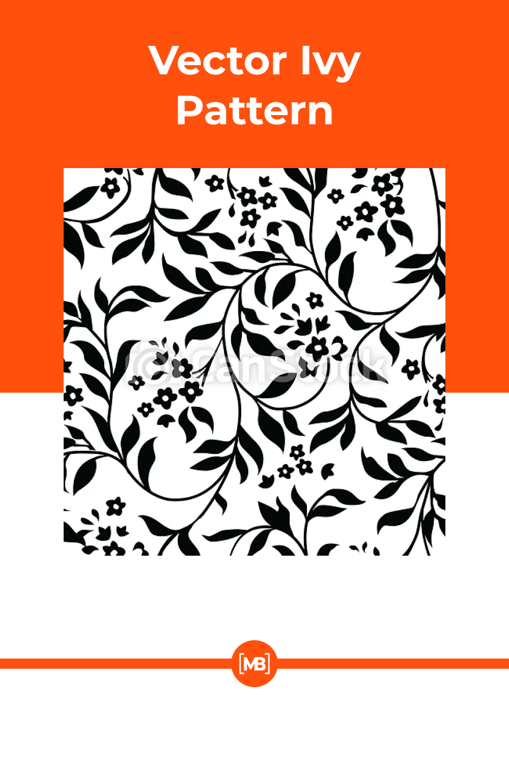 Black and white colors of ivy leaves.