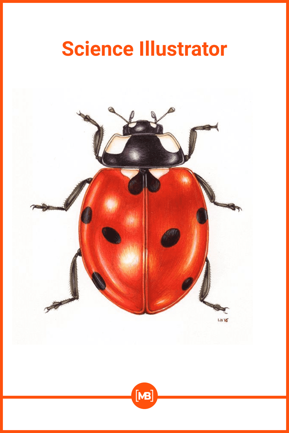 Ladybug in hers classic form.