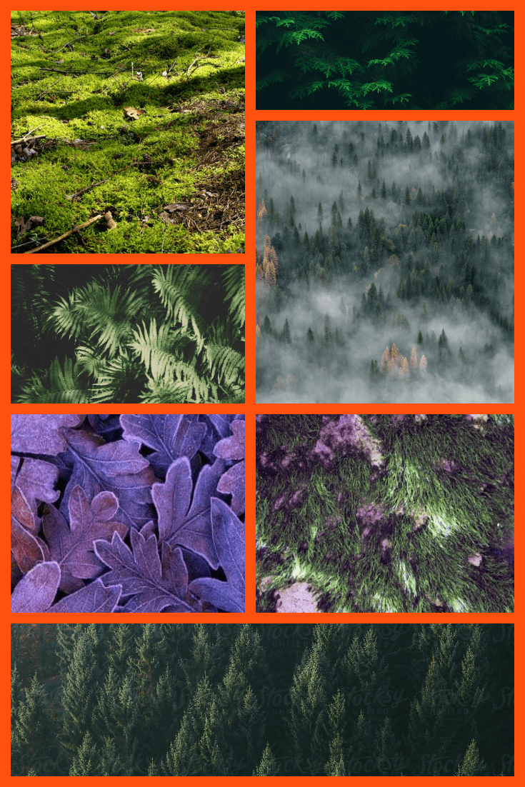 Forest texture Pinterest.